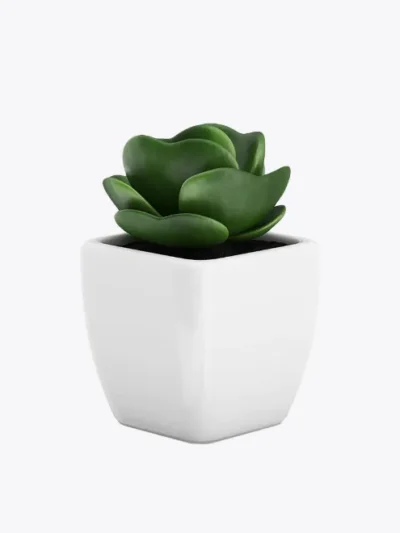 product-image-9_optimized Русское название товара